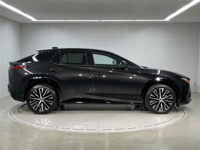 Lexus RZ — фото 4