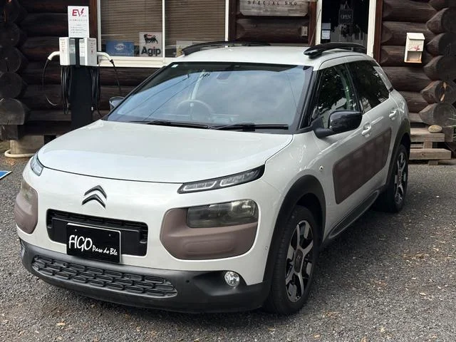 Citroën C4 CACTUS — фото 1