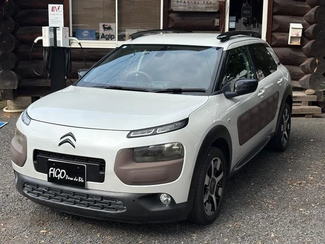 Citroën C4 CACTUS — фото 2