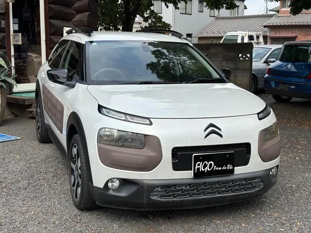 Citroën C4 CACTUS — фото 4