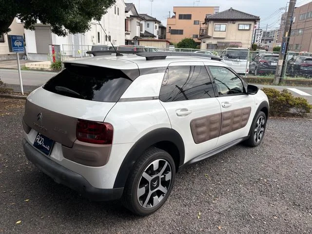 Citroën C4 CACTUS — фото 6