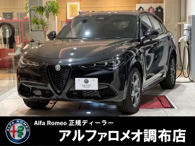 Alfa Romeo STELVIO — фото 1