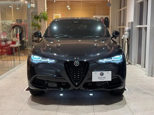 Alfa Romeo STELVIO — фото 3