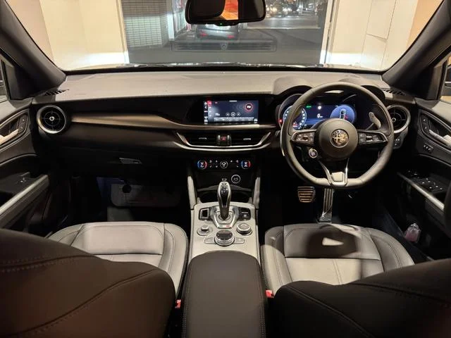Alfa Romeo STELVIO — фото 6