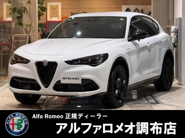 Alfa Romeo STELVIO — фото 1