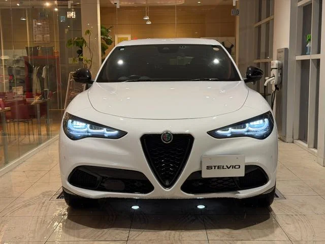 Alfa Romeo STELVIO — фото 3