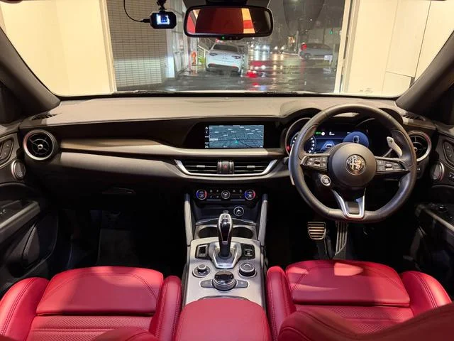 Alfa Romeo STELVIO — фото 6