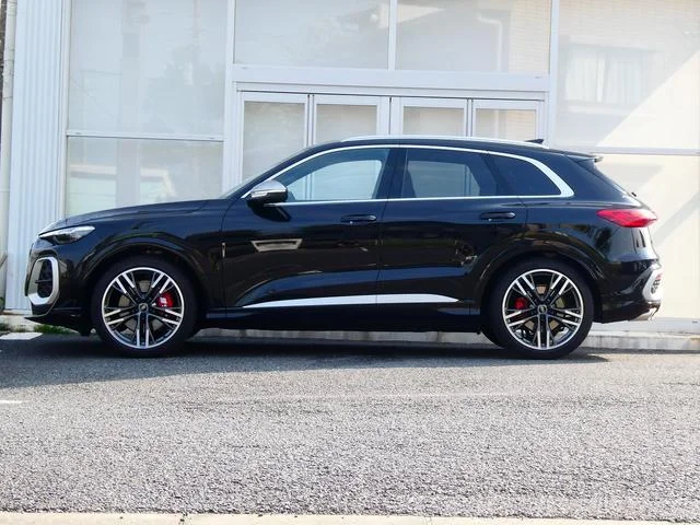 Audi SQ5 — фото 3