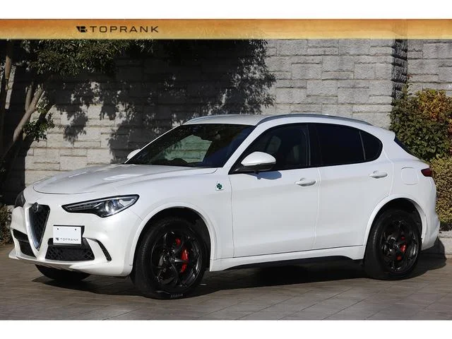 Alfa Romeo STELVIO — фото 1