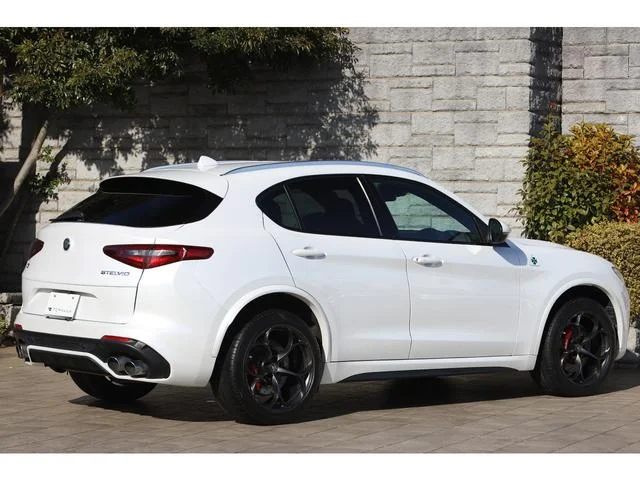 Alfa Romeo STELVIO — фото 2