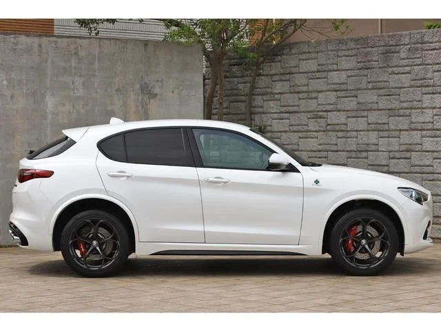 Alfa Romeo STELVIO — фото 6