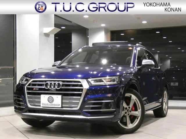 Audi SQ5 — фото 1