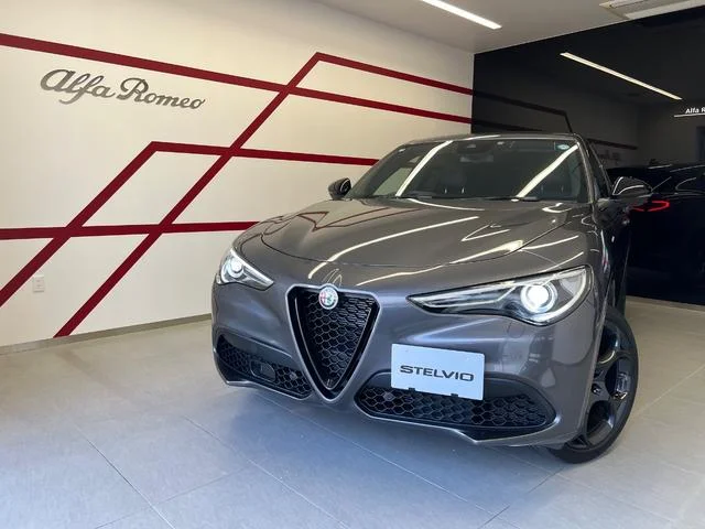 Alfa Romeo STELVIO — фото 1