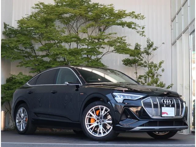Audi E-TRON SPORTBACK — фото 1
