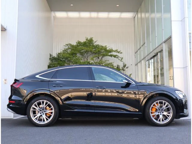 Audi E-TRON SPORTBACK — фото 6