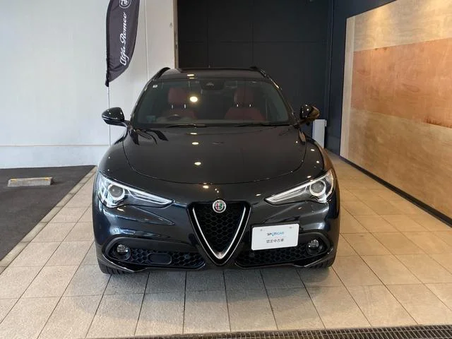 Alfa Romeo STELVIO — фото 2