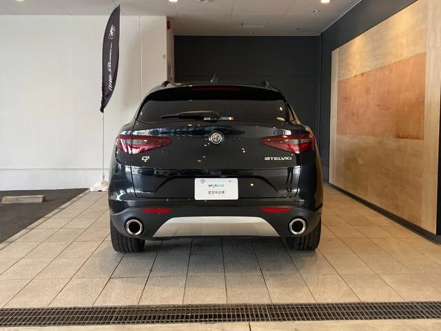 Alfa Romeo STELVIO — фото 3