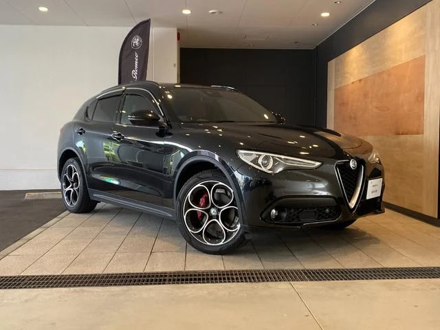 Alfa Romeo STELVIO — фото 4
