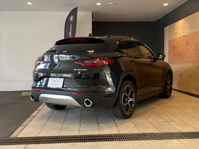 Alfa Romeo STELVIO — фото 5