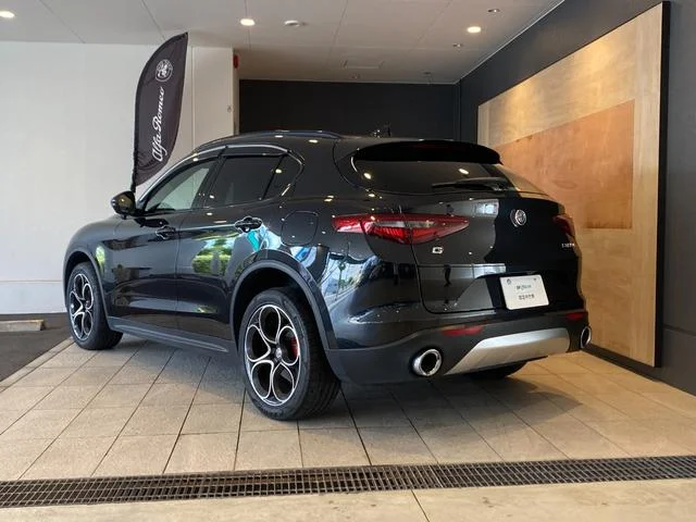 Alfa Romeo STELVIO — фото 6