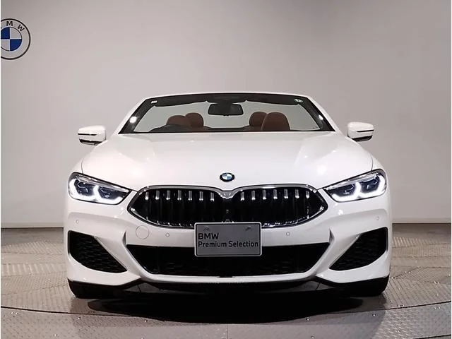 BMW 8-Series — фото 5
