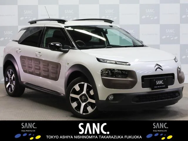 Citroën C4 CACTUS — фото 1