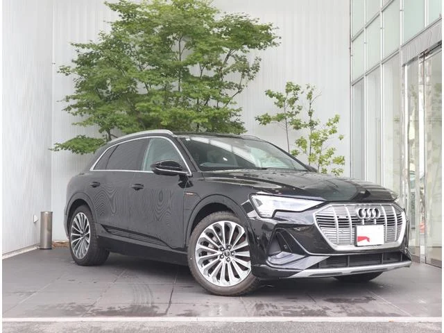 Audi E-TRON — фото 1