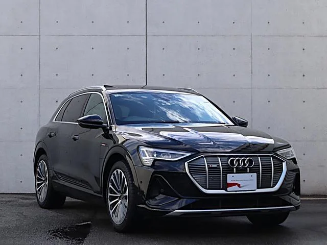 Audi E-TRON — фото 5