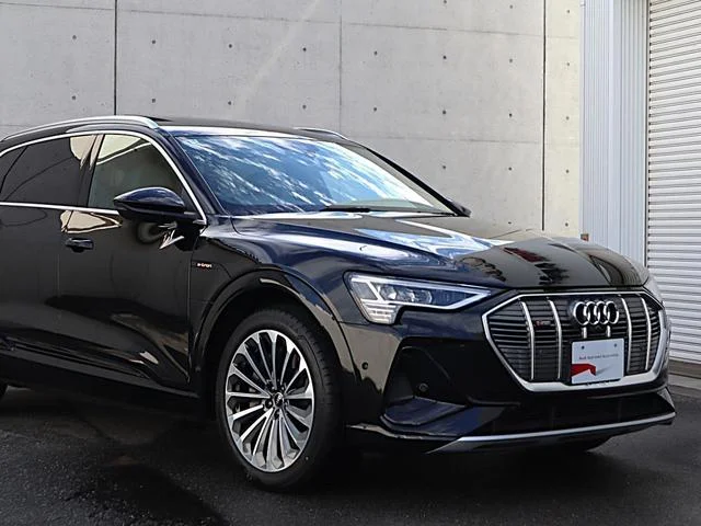 Audi E-TRON — фото 6