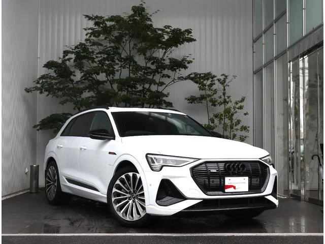 Audi E-TRON — фото 1
