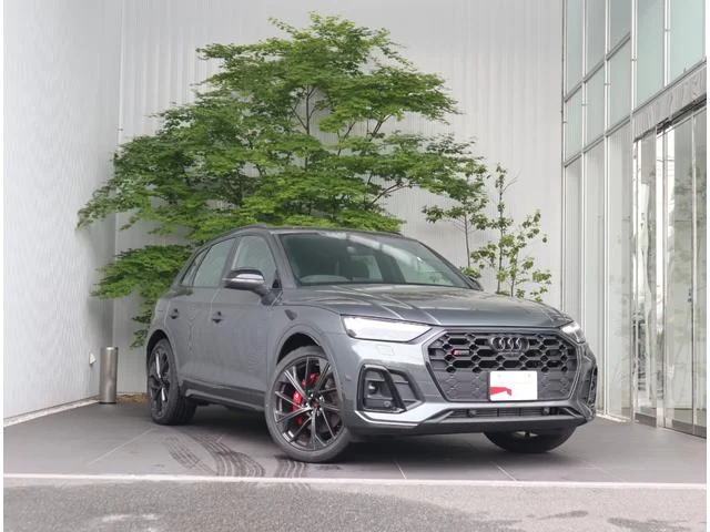 Audi SQ5 — фото 1
