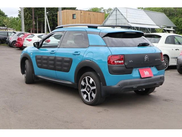 Citroën C4 CACTUS — фото 3