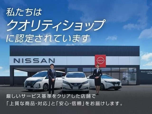 Nissan CLIPPER RIO — фото 2