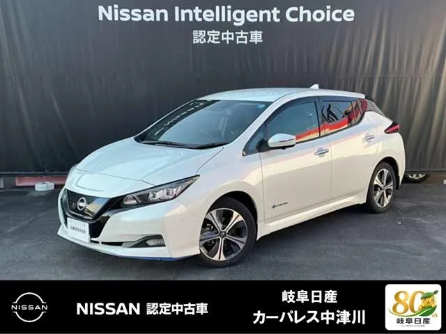 Nissan LEAF — фото 1