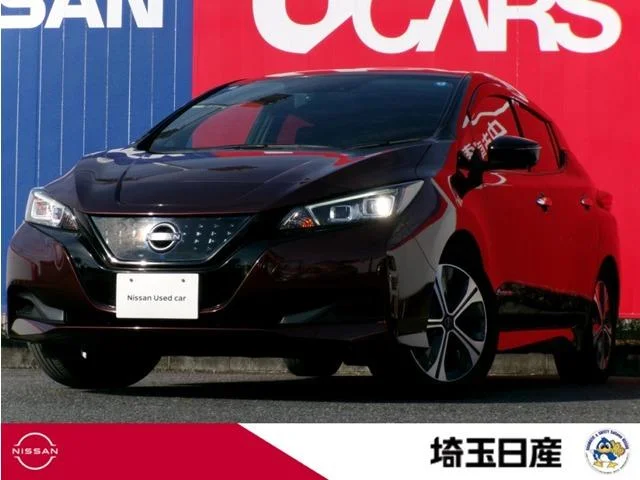 Nissan LEAF — фото 1