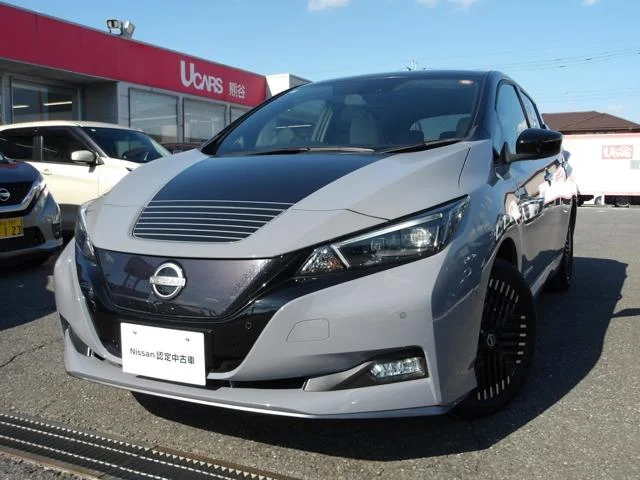 Nissan LEAF — фото 1
