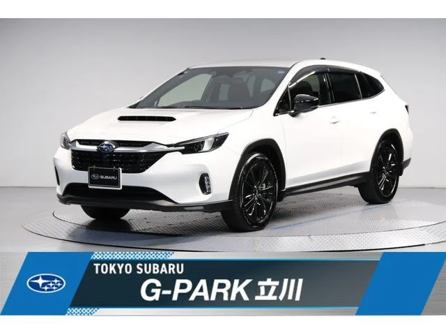 Subaru LEVORG LAYBACK — фото 1