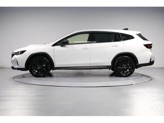 Subaru LEVORG LAYBACK — фото 3