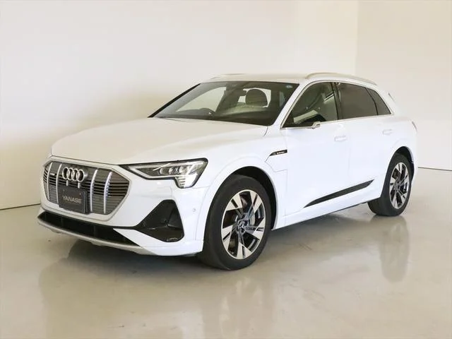 Audi E-TRON — фото 1