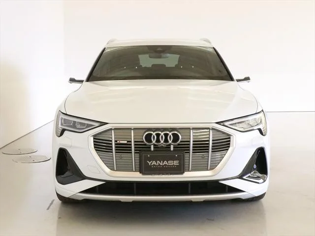Audi E-TRON — фото 2