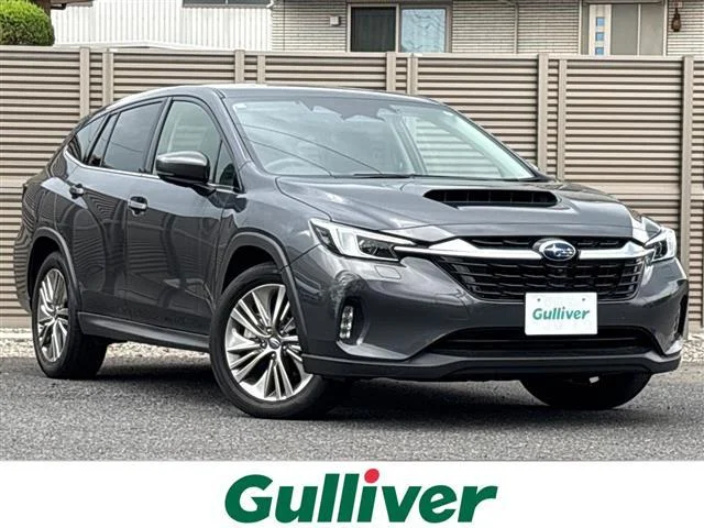 Subaru LEVORG LAYBACK — фото 1