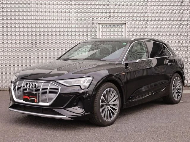 Audi E-TRON — фото 1