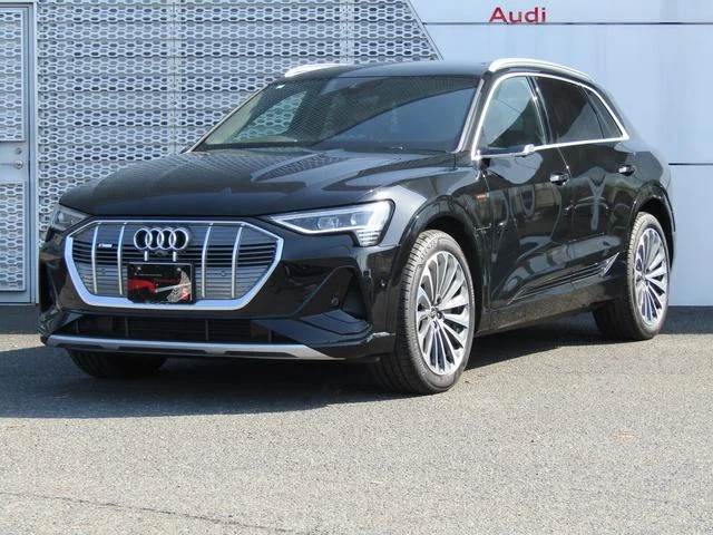 Audi E-TRON — фото 1
