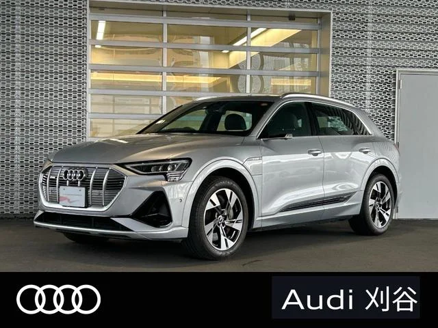 Audi E-TRON — фото 1