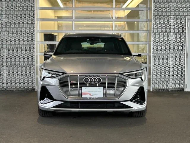 Audi E-TRON — фото 4