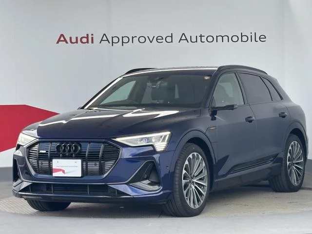 Audi E-TRON — фото 1