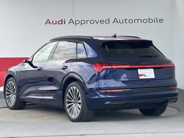 Audi E-TRON — фото 5