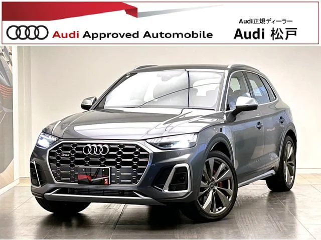 Audi SQ5 — фото 1