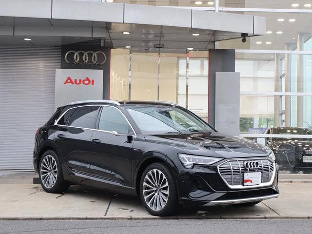 Audi E-TRON — фото 1