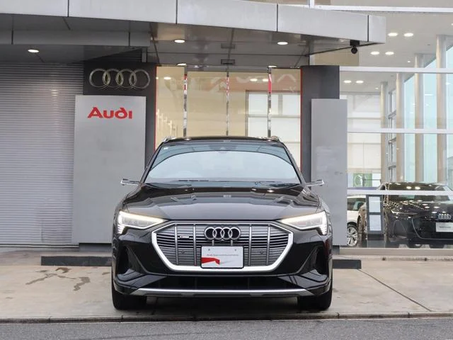 Audi E-TRON — фото 3